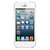 Apple iPhone 5 16Gb white - Соль-Илецк