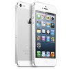 Apple iPhone 5 64Gb white - Соль-Илецк